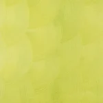 Regular Velvet E9-24